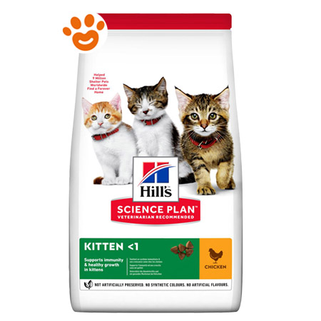 Cat hills best sale